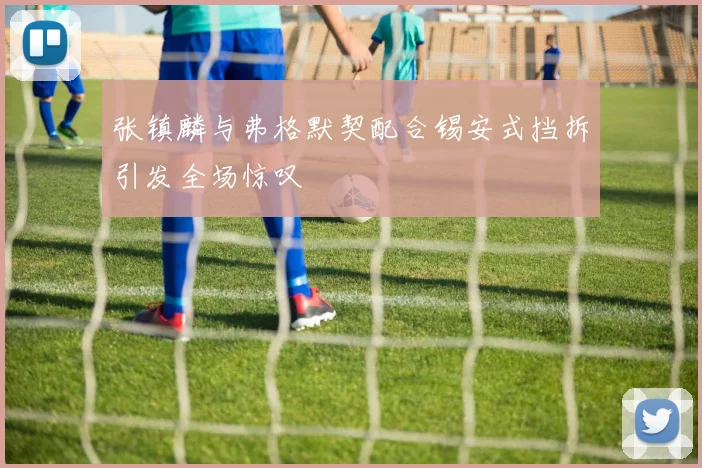 张镇麟与弗格默契配合锡安式挡拆引发全场惊叹