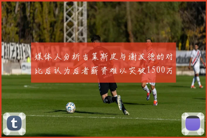 媒体人分析吉莱斯皮与谢泼德的对比后认为后者薪资难以突破1500万