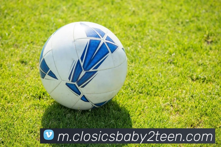 企业概况
